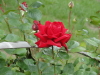 img0005.jpg