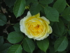 img0014.jpg