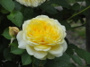 img0016.jpg