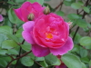 img0020.jpg