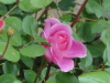 img0022.jpg