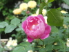 img0023.jpg