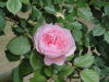 img0024.jpg