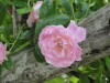 img0025.jpg