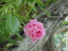 img0027.jpg