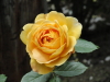 img0031.jpg