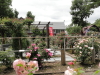 img0032.jpg