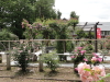 img0033.jpg