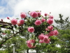 img0040.jpg