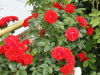 img0058.jpg