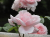 img0060.jpg