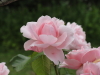 img0062.jpg