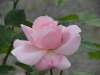 img0063.jpg