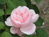 img0064.jpg