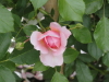 img0065.jpg