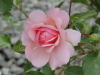 img0066.jpg