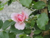 img0067.jpg