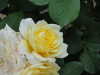 img0068.jpg