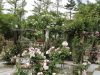 img0069.jpg