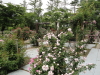 img0070.jpg