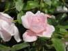 img0073.jpg