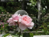 img0074.jpg