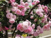 img0076.jpg