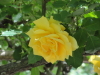 img0079.jpg