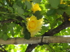 img0083.jpg