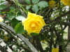 img0084.jpg
