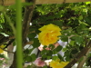 img0086.jpg