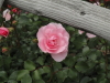 img0089.jpg
