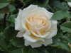 img0112.jpg