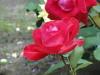 img0118.jpg