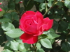 img0120.jpg