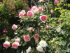 img0121.jpg