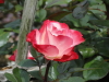 img0123.jpg