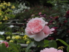 img0127.jpg
