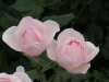img0133.jpg