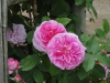 img0135.jpg