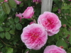 img0136.jpg