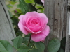 img0138.jpg