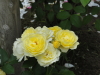 img0139.jpg