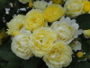 img0140.jpg