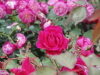 img0141.jpg