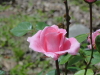 img0145.jpg