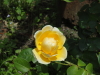 img0146.jpg