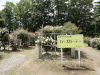 img0147.jpg