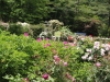 img0149.jpg
