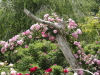 img0157.jpg